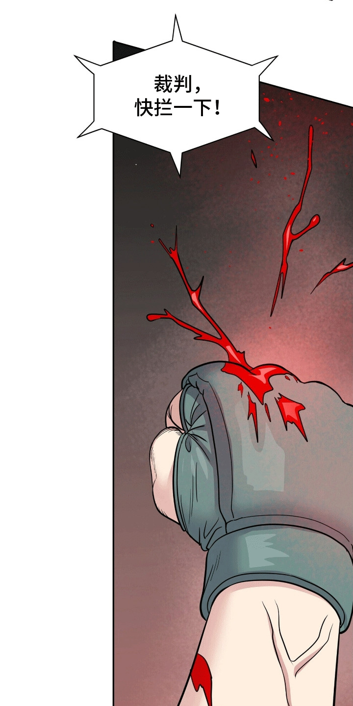 爱上搏击小将漫画,第2章：格斗俱乐部4图