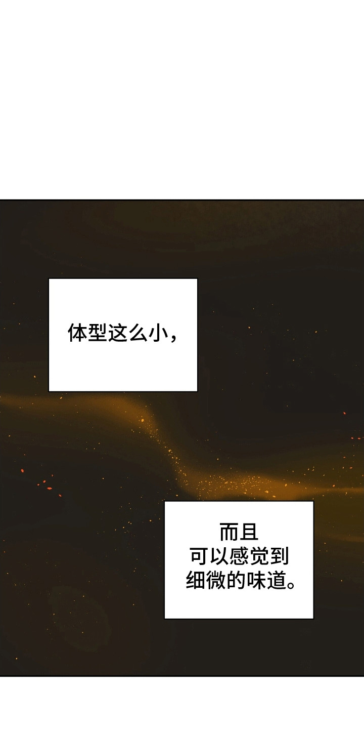 爱上搏击小将漫画,第3章：对战选手3图