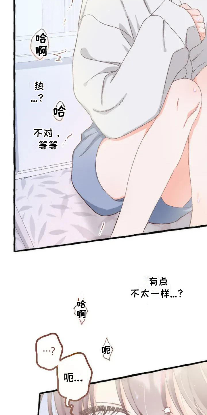 绝对万人迷免费在线阅读漫画,第6章：收留3图