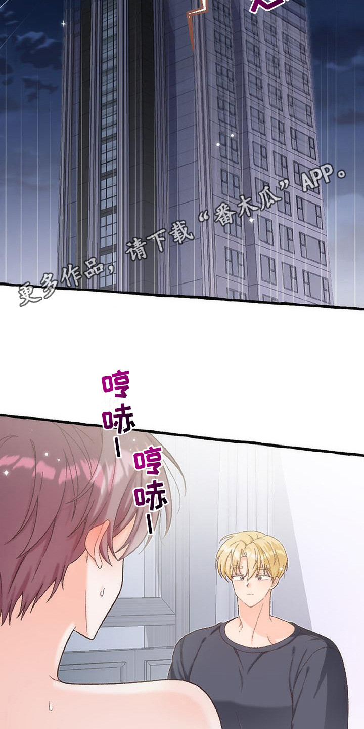 绝对万人迷免费在线阅读漫画,第9章：不管了1图