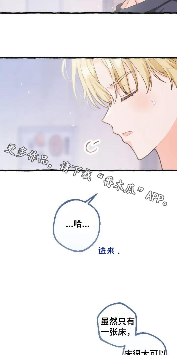 绝对万人迷漫画,第6章：收留1图