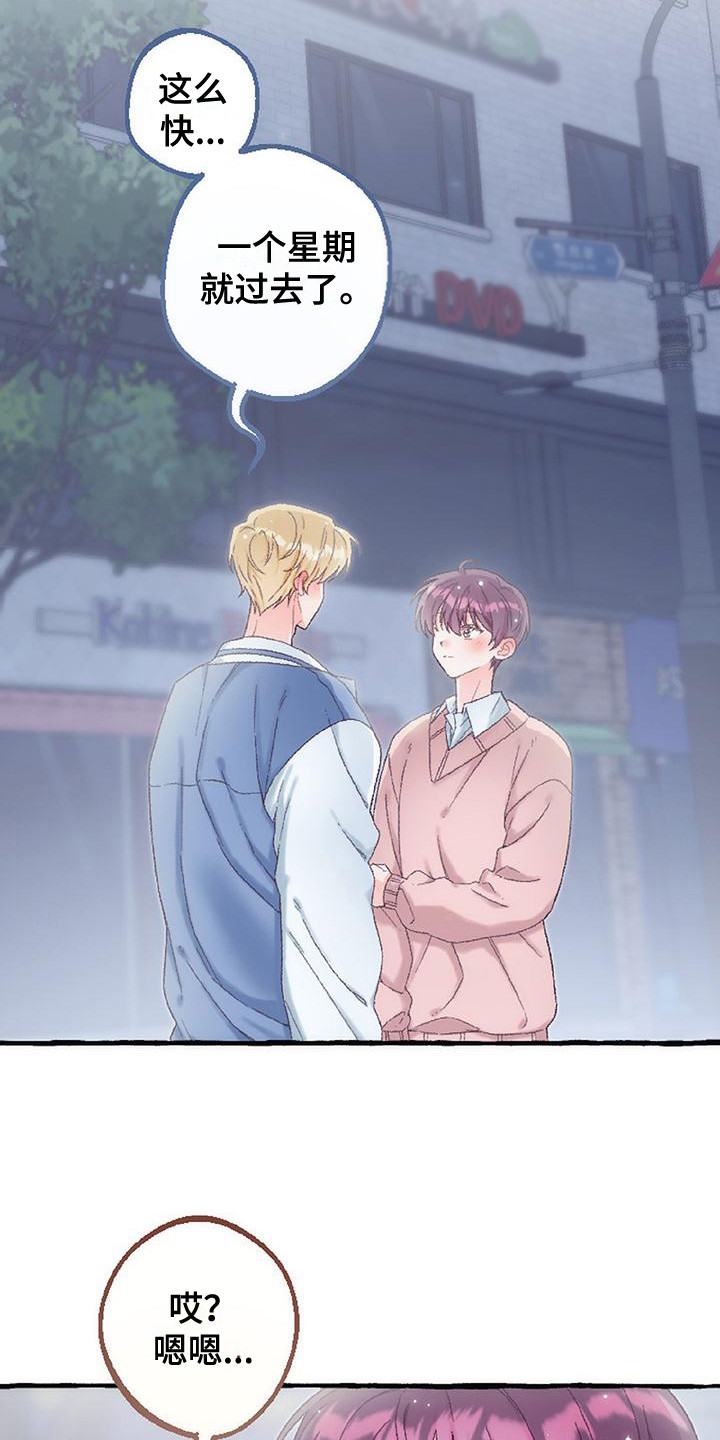 绝对万人迷韩漫漫画,第14章： 最后一天4图