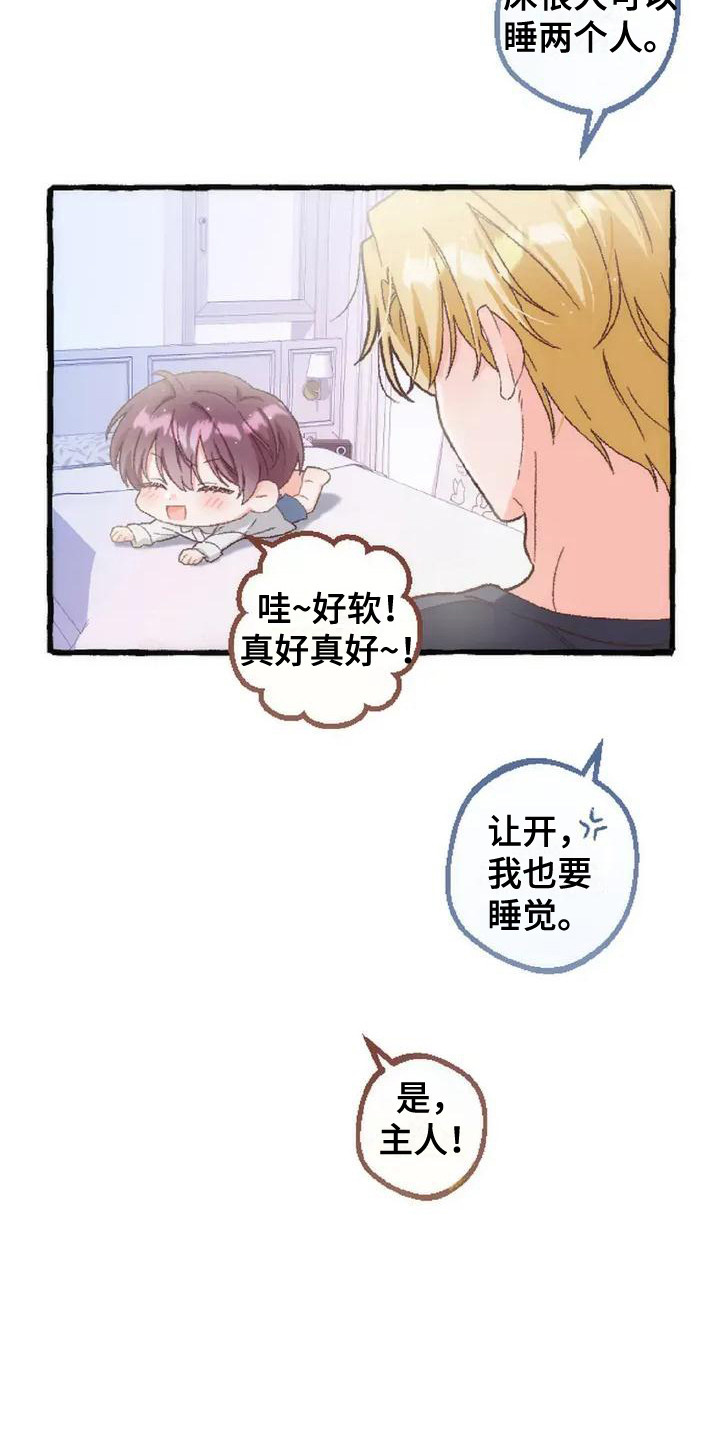 绝对万人迷漫画,第6章：收留2图