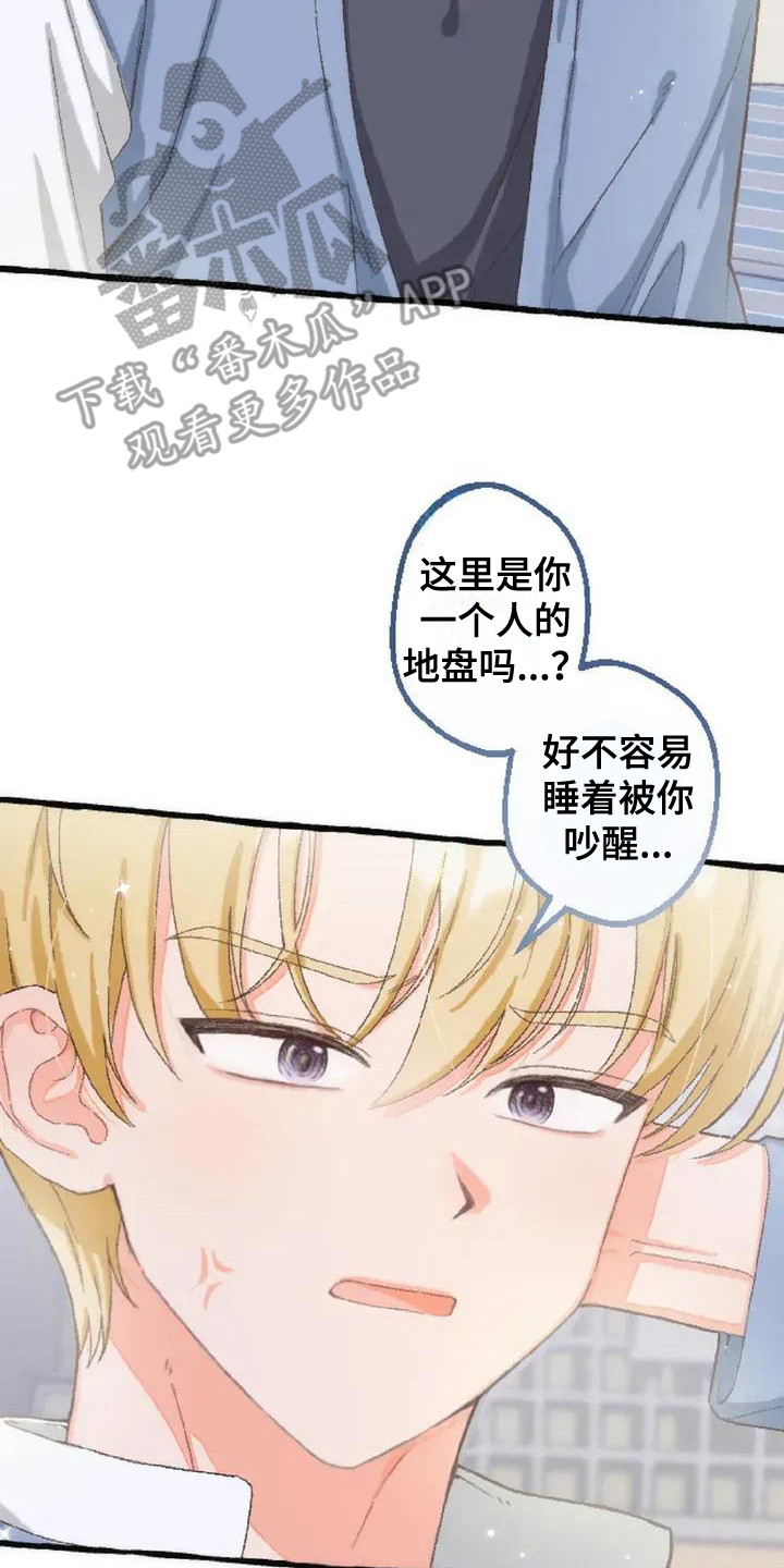 绝对万人迷漫画,第3章：没有变化3图