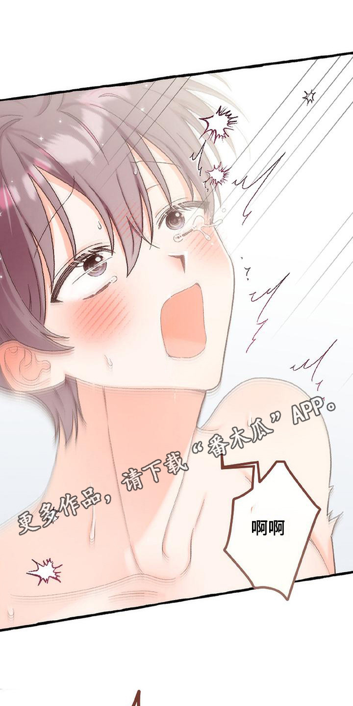 绝对万人迷韩漫漫画,第14章： 最后一天1图