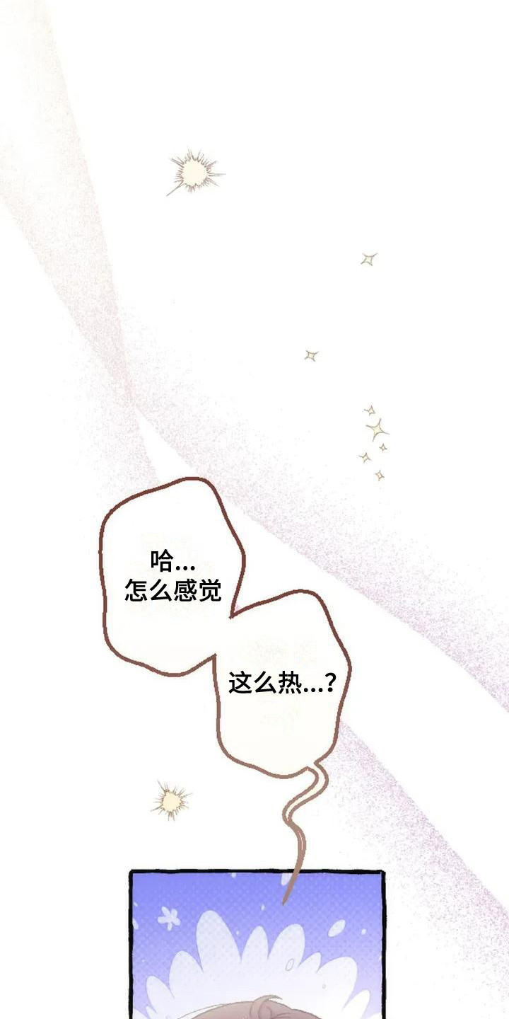 绝对万人迷免费在线阅读漫画,第6章：收留1图