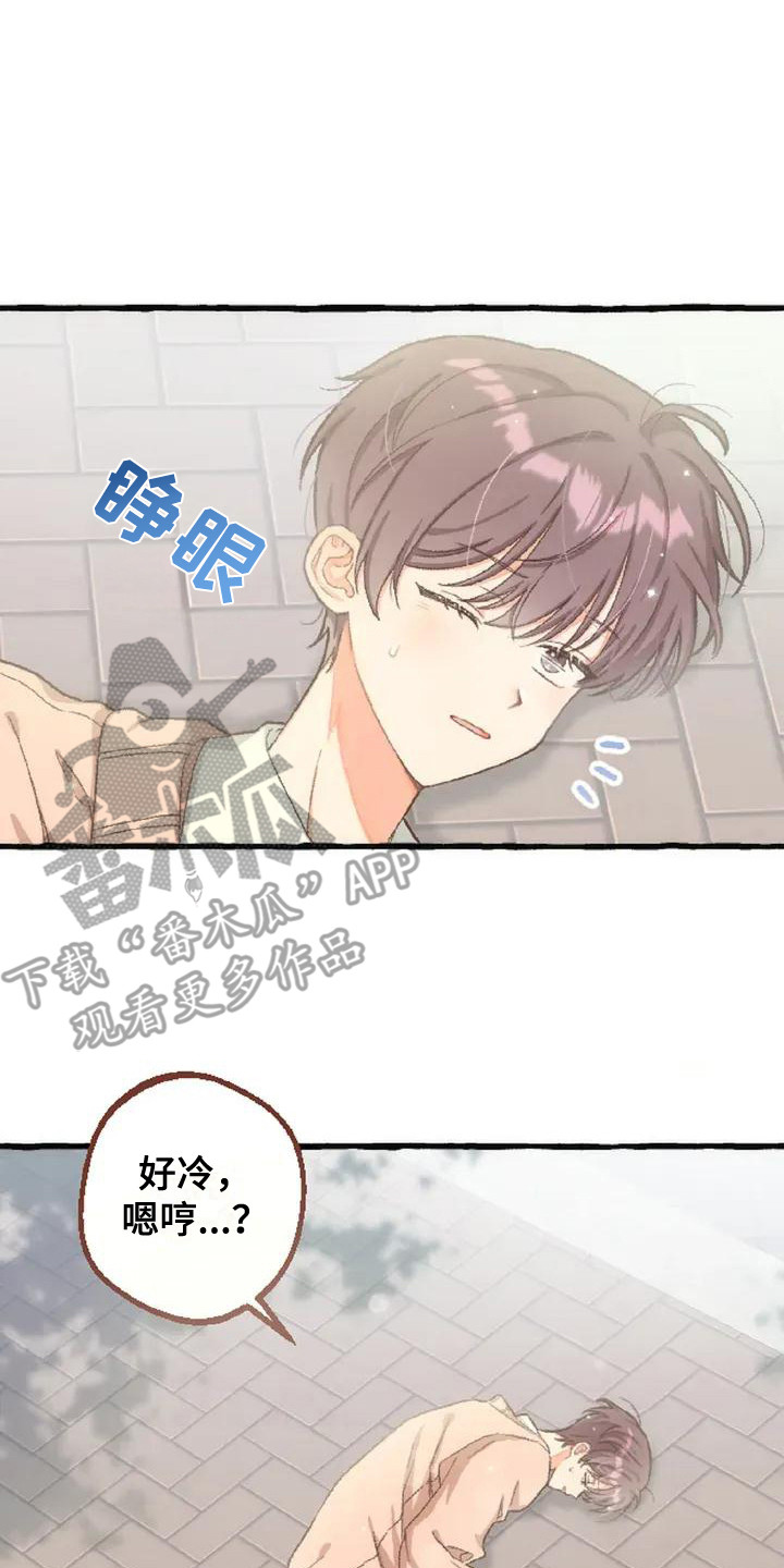 绝对万人迷漫画,第1章：有趣的味道2图