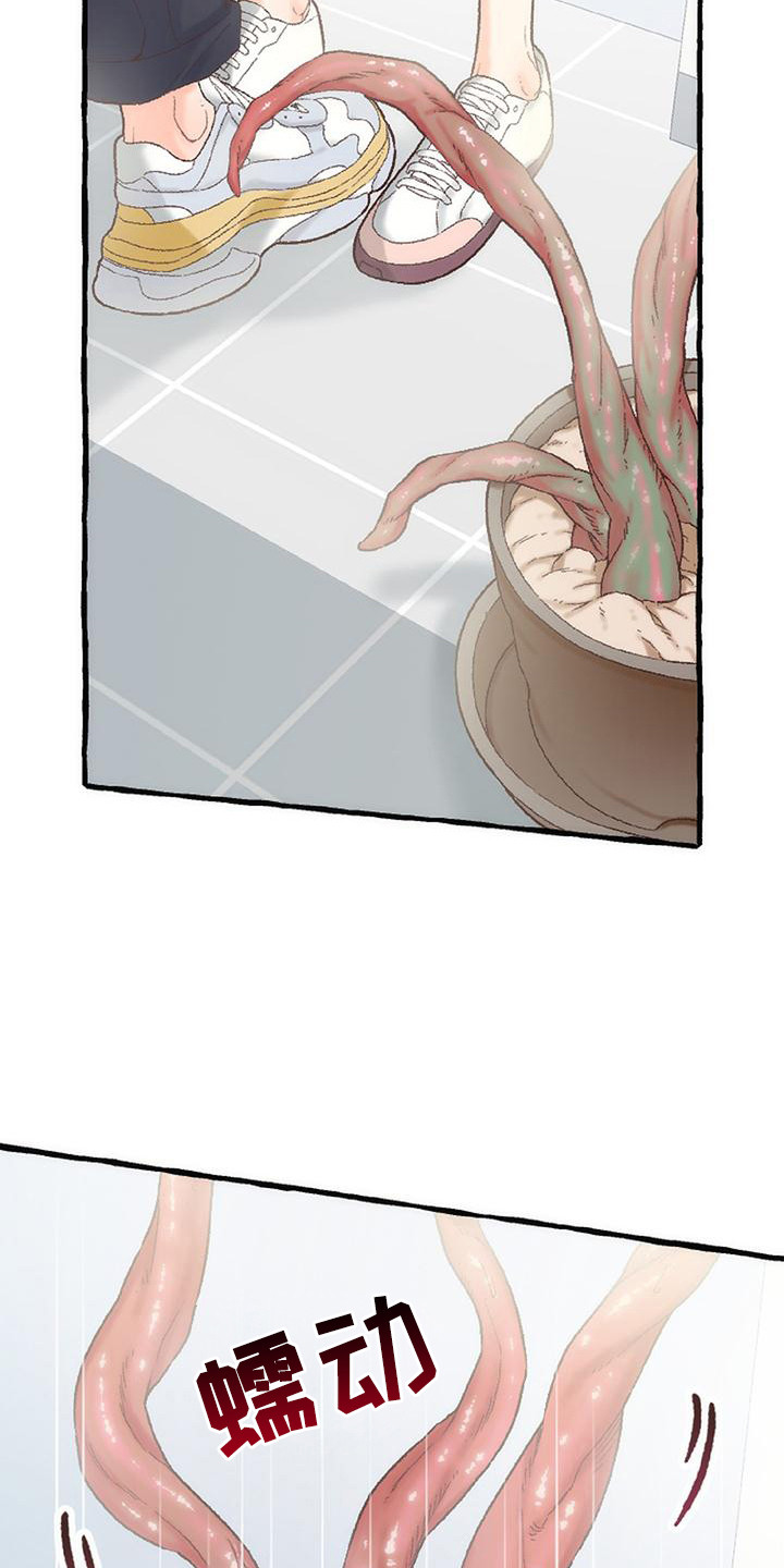 绝对万人迷漫画完整版漫画,第12章：触角2图