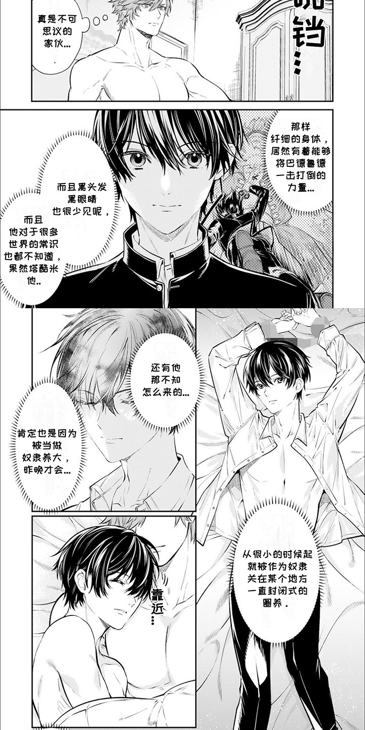 拯救骑士团漫画,第5章：美丽的误会1图