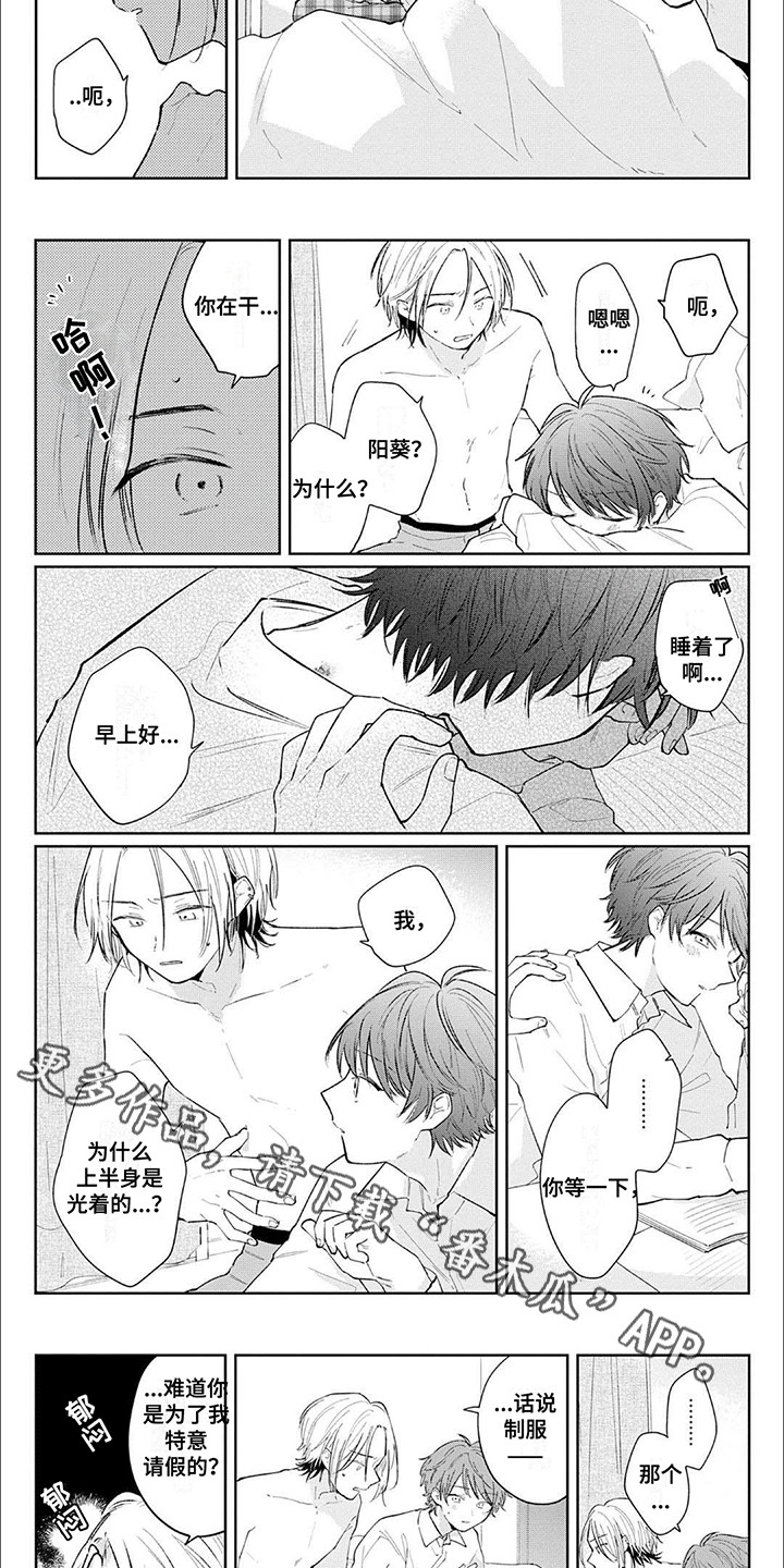 窥视阳光漫画,第9章：酒醒之后3图