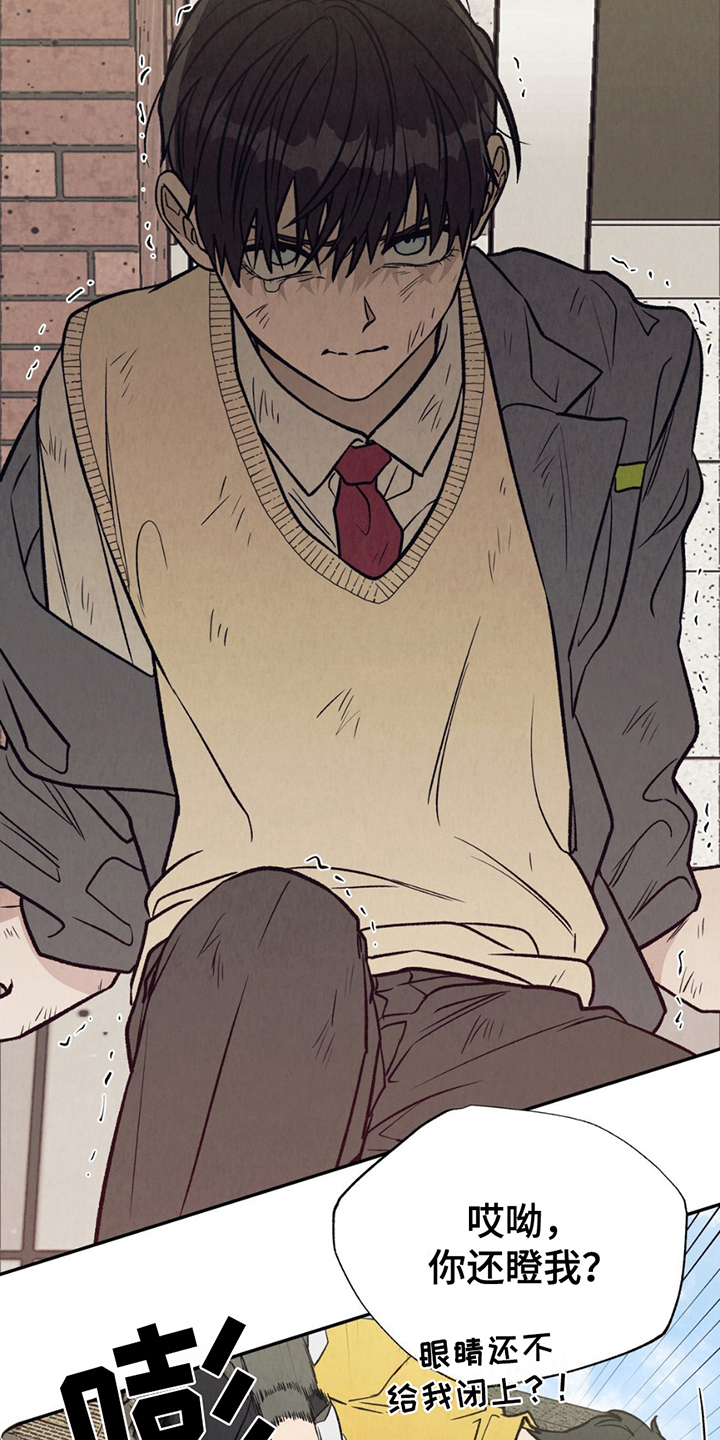 当我变成某宝商品后在线阅读漫画,第12章：欺压3图