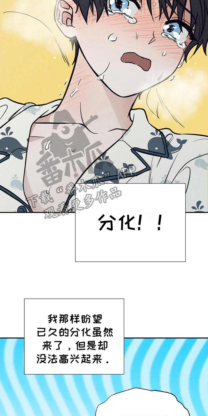 当我变成你漫画漫画,第6章：阿尔法4图