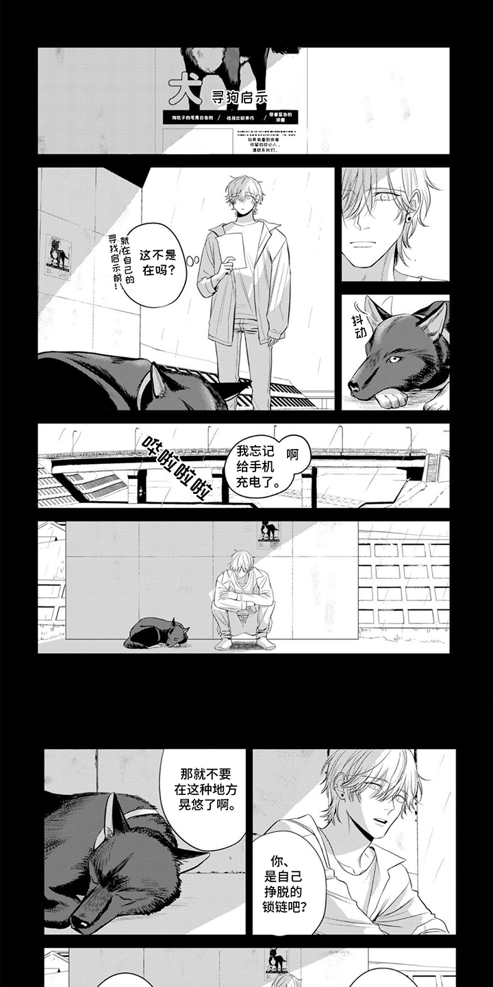 镝木侦探事务所漫画,第17章：获得自由1图