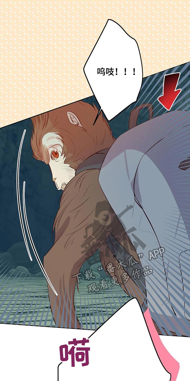 孤岛求生失落的世界漫画,第23章：猴子4图