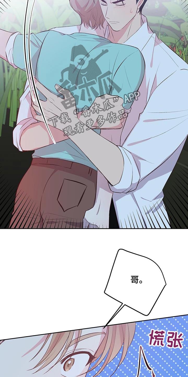 孤岛浪子漫画,第33章：椰子蟹4图