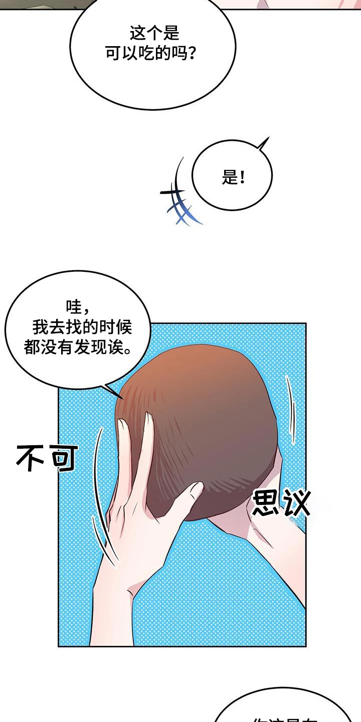 孤岛浪漫求生漫画图片漫画,第27章：椰子2图