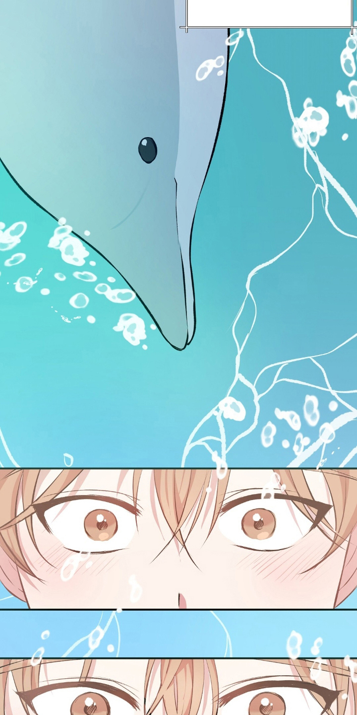 木筏求生小浪漫画,第1章：野外生存节目2图