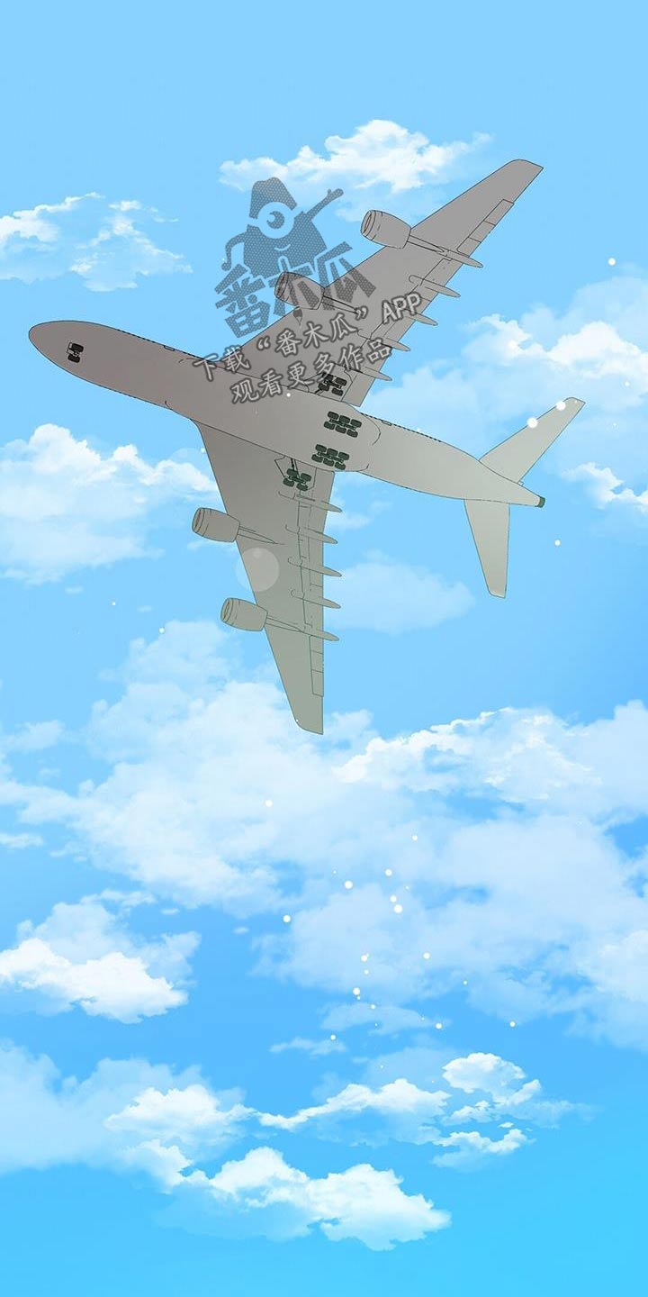 孤岛浪漫求生漫画,第29章：飞机4图