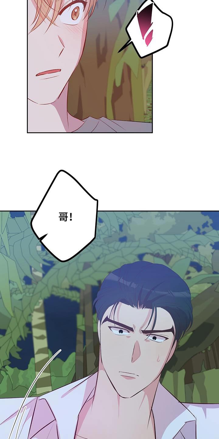 孤岛浪漫求生漫画图片漫画,第33章：椰子蟹5图