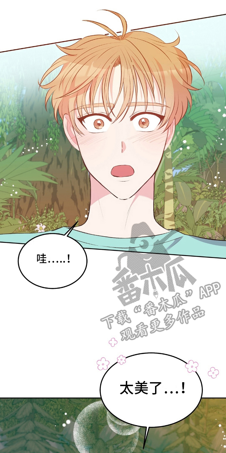 孤岛浪漫求生漫画别名漫画,第17章：探索3图