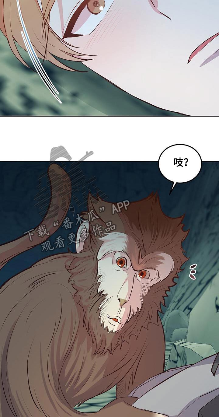 孤岛求生失落的世界漫画,第23章：猴子2图