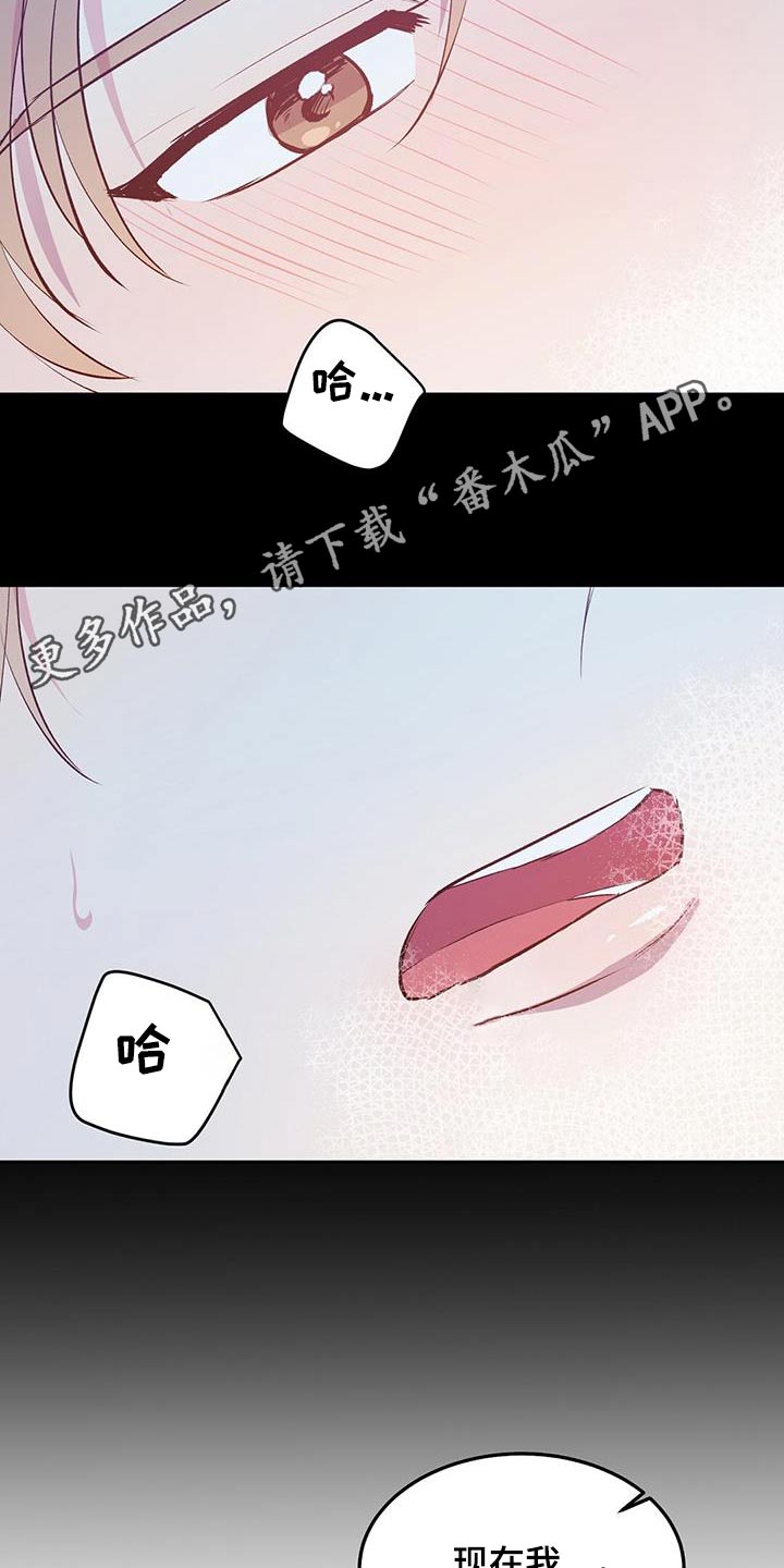 孤岛浪漫求生漫画完整版漫画,第36章：等待就行3图