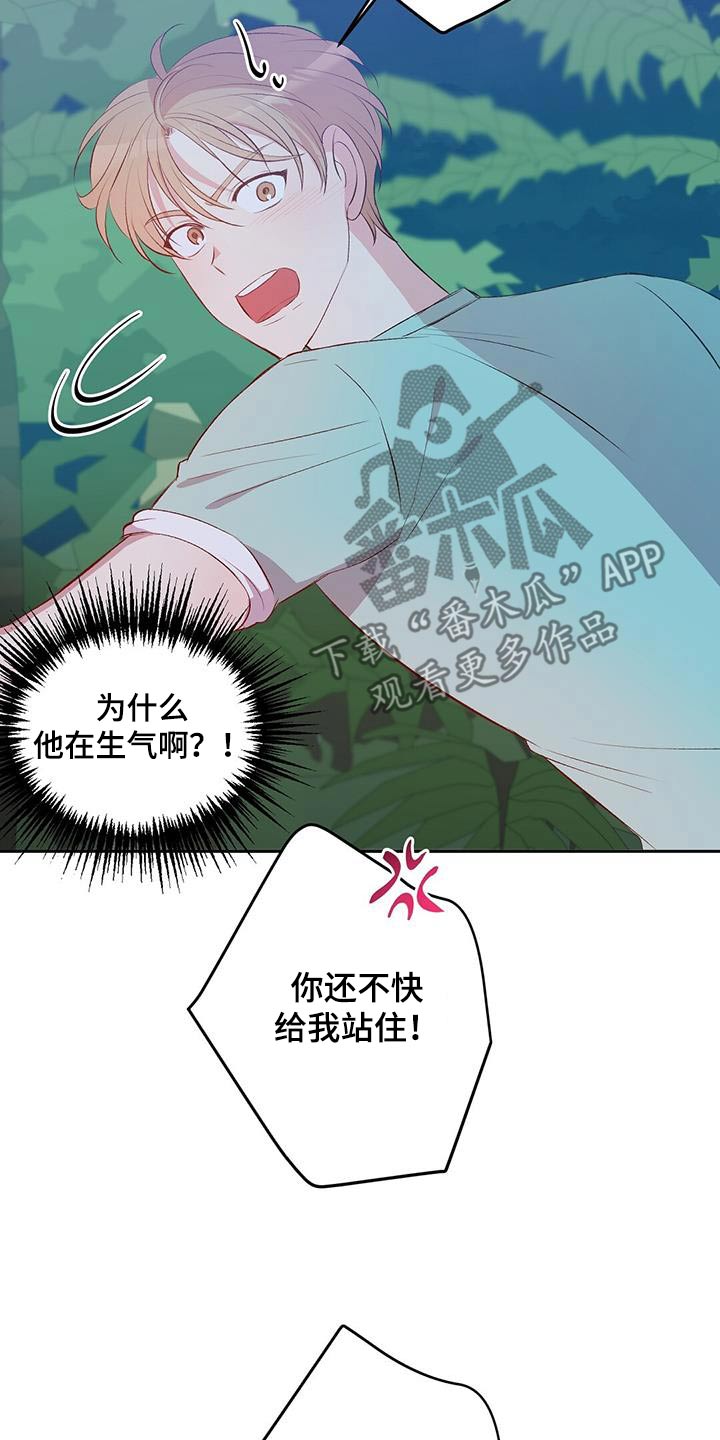 孤岛浪子漫画,第33章：椰子蟹4图