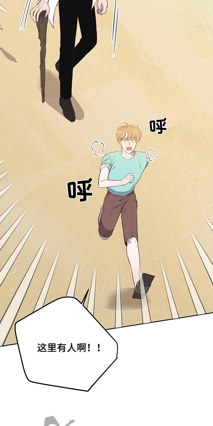 孤岛浪漫求生漫画,第29章：飞机5图