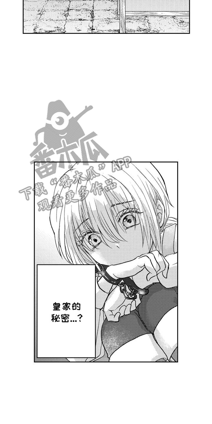 恶魔附身漫画,第6章：皇家秘密2图
