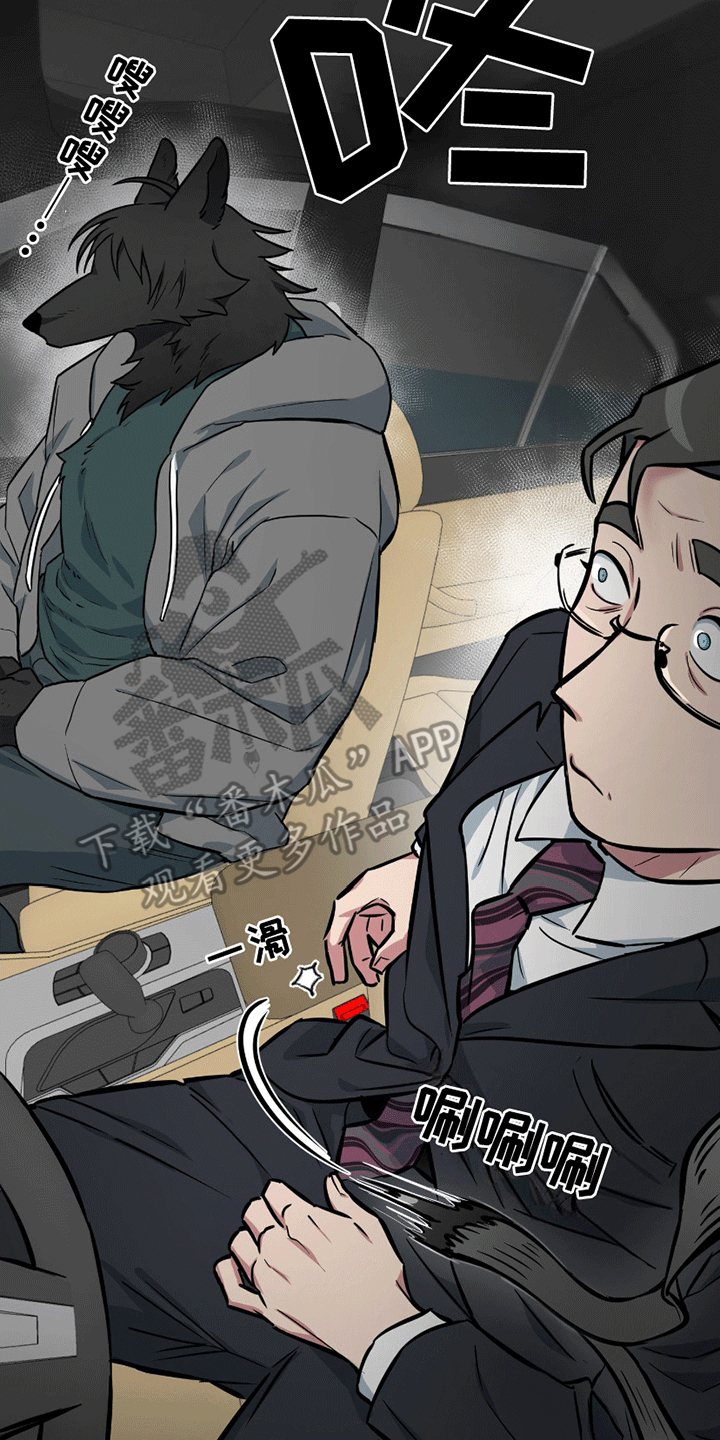 狼狼深藏不露漫画,第11章：能看看吗4图