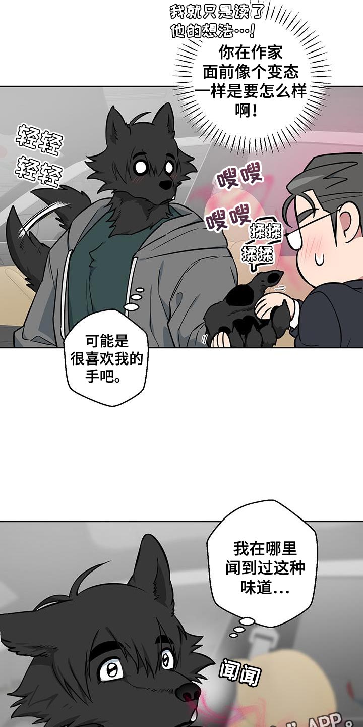 狼狼深藏不露漫画更新时间漫画,第12章：太喜欢了4图