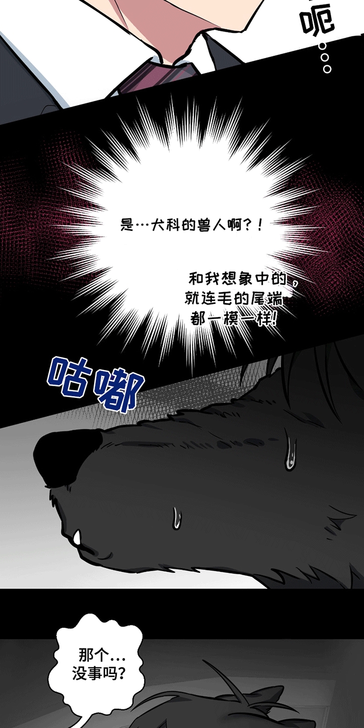 狼狼深藏不露漫画,第11章：能看看吗1图