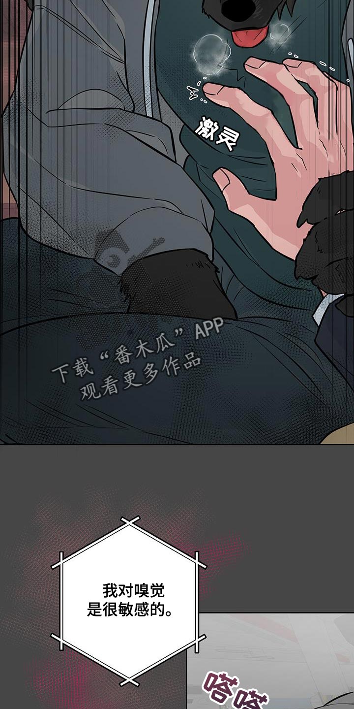 狼狼深藏不露漫画更新时间漫画,第12章：太喜欢了4图