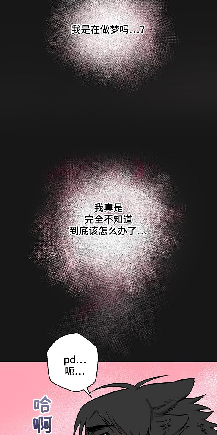 狼狼深藏不露一耽叫什么漫画,第13章：辩解3图