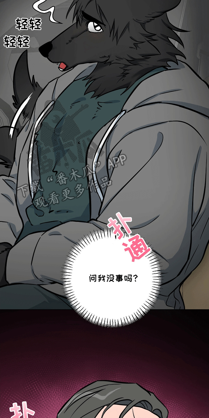 狼狼深藏不露漫画,第11章：能看看吗2图