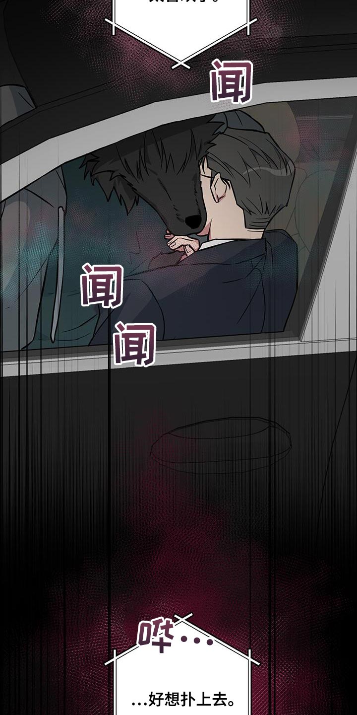 狼狼深藏不露漫画更新时间漫画,第12章：太喜欢了1图