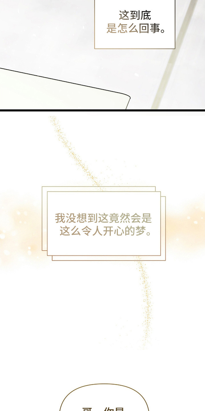 时光重溯爱已迟暮免费在线观看漫画,第3章：开心的梦1图