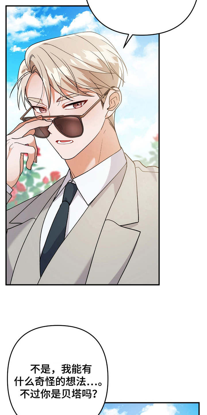 灰熊房子有多大漫画,第4章：真的吗3图