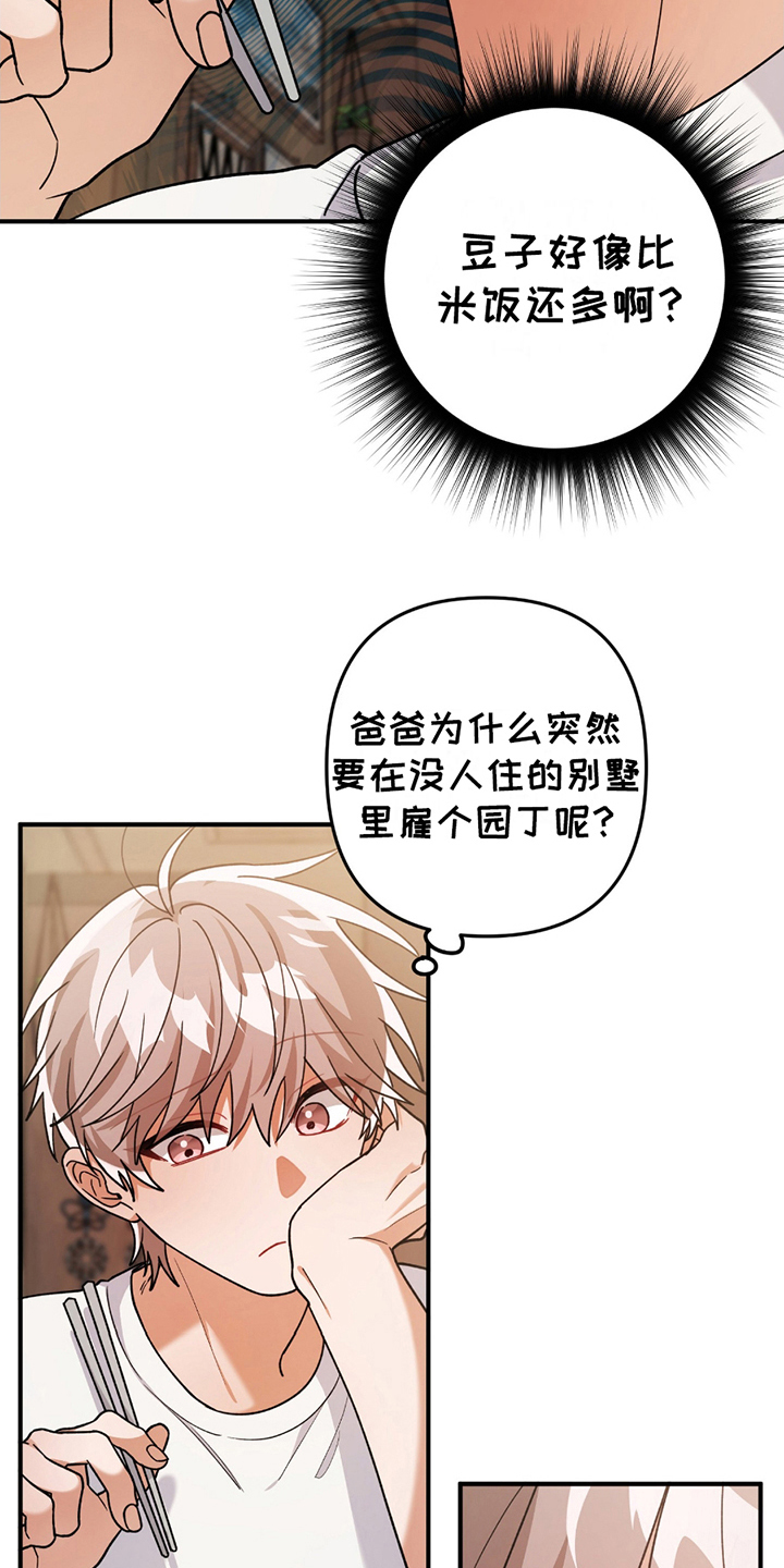 灰熊的住宅漫画,第13章：豆子饭5图