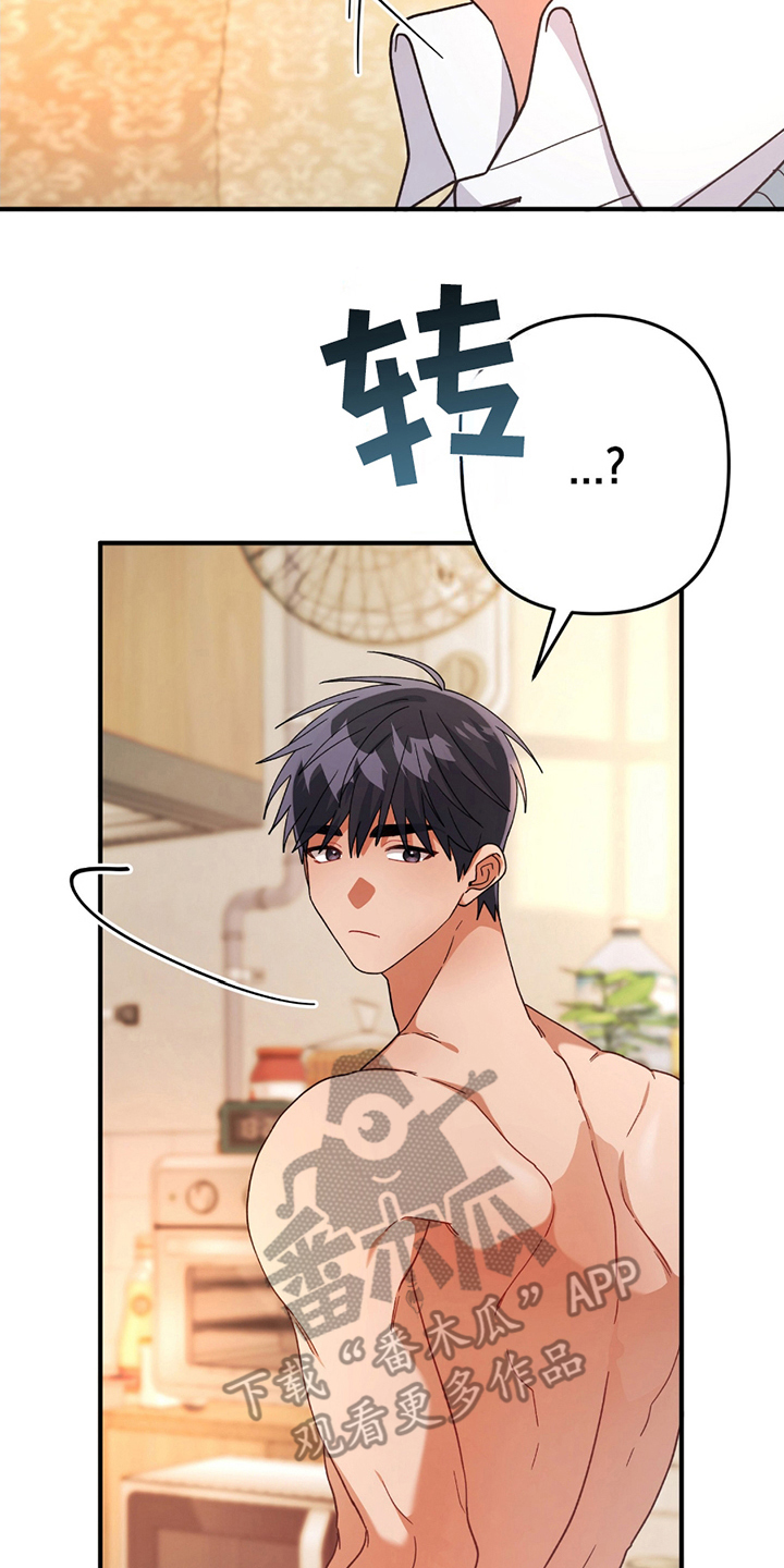 灰熊的玫瑰住宅漫画免费漫画,第9章：奇怪的话1图