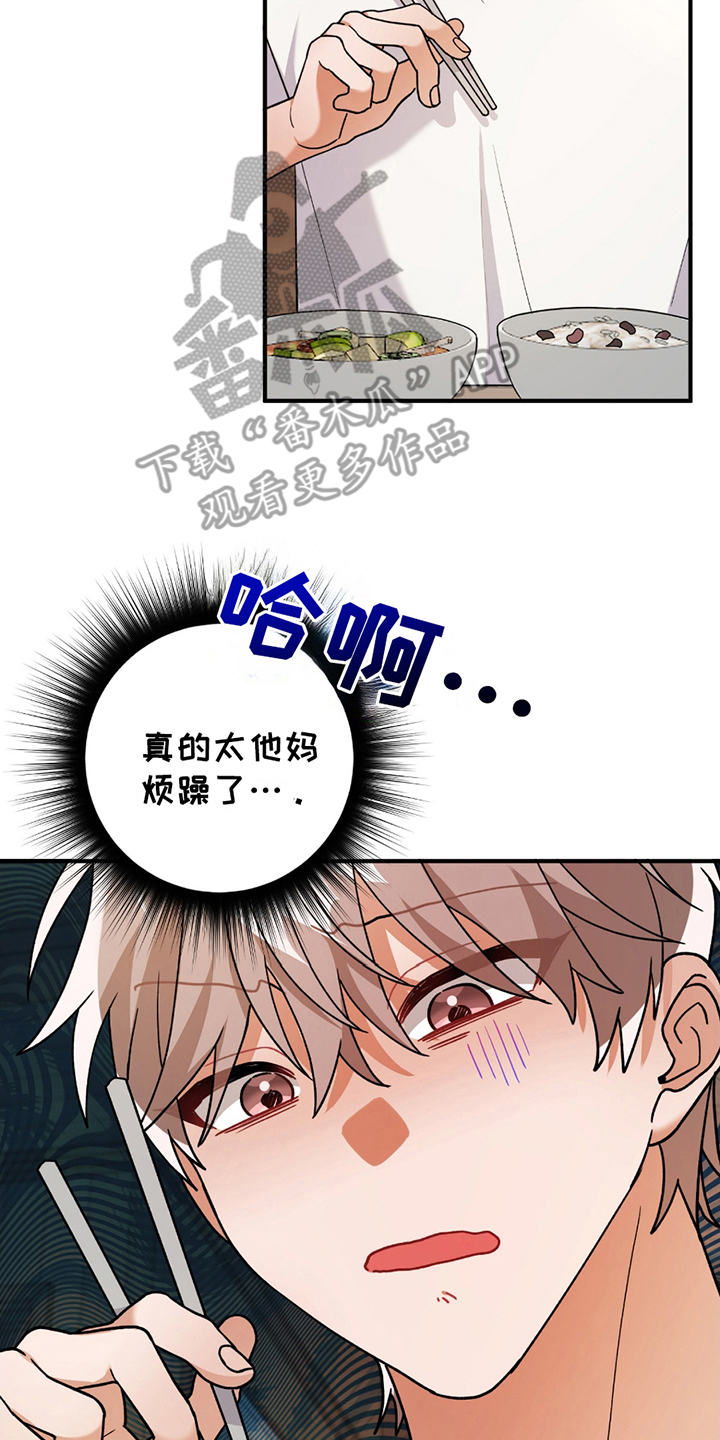 灰熊的住宅漫画,第13章：豆子饭4图