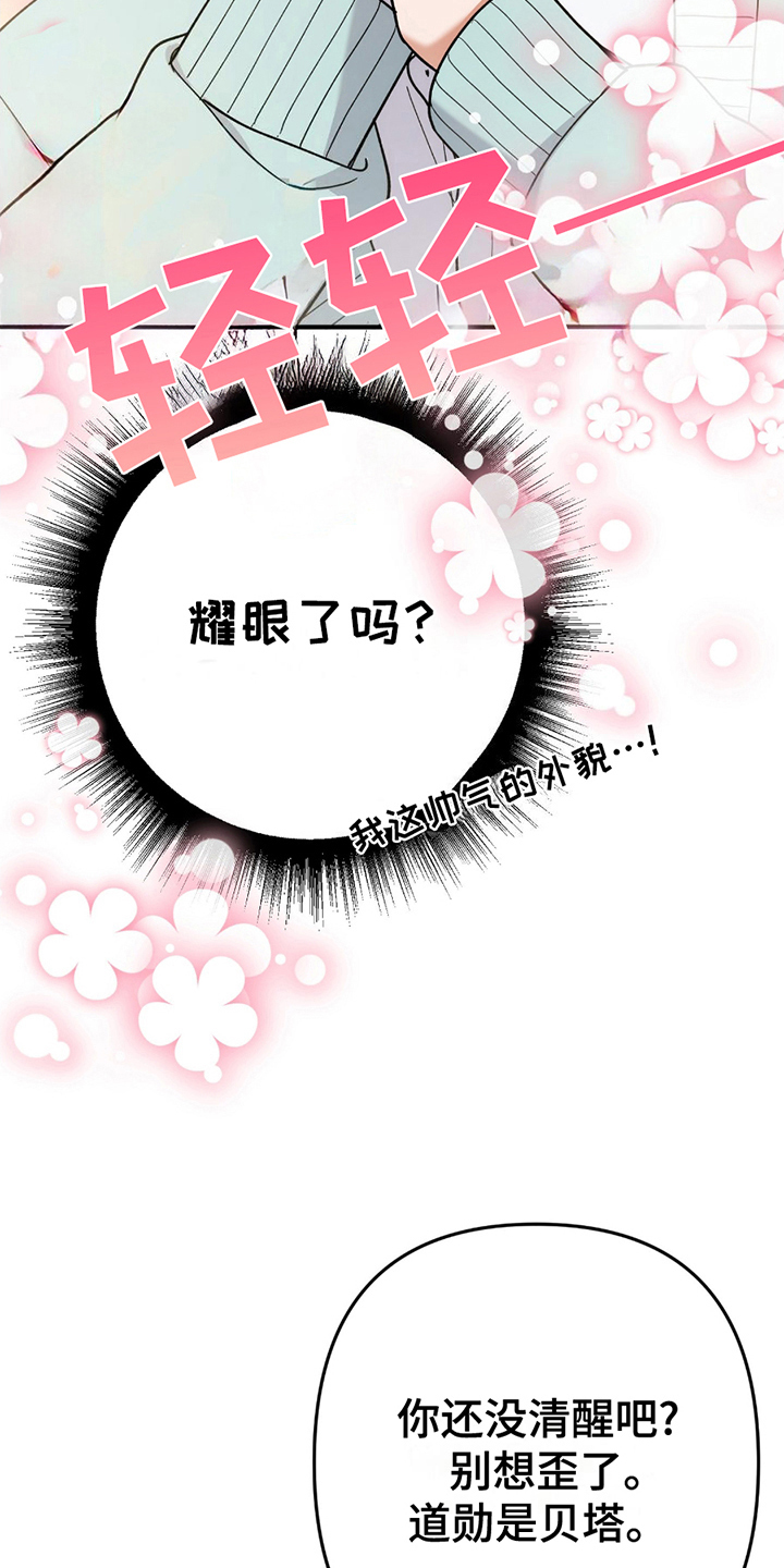 灰熊房子有多大漫画,第4章：真的吗2图