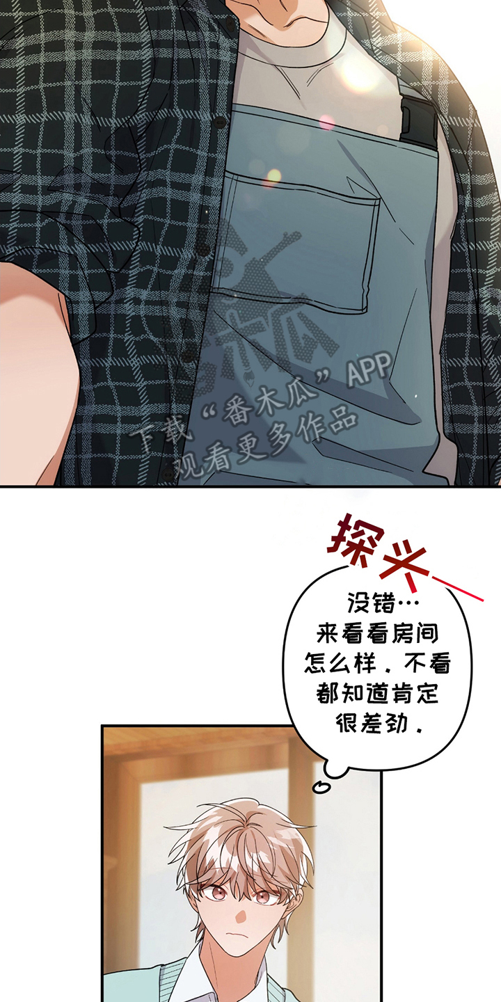 灰熊的住宅漫画,第5章：正面突破4图
