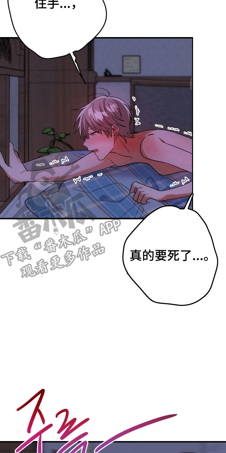 灰熊的玫瑰住宅漫画,第97章：可能怀孕4图