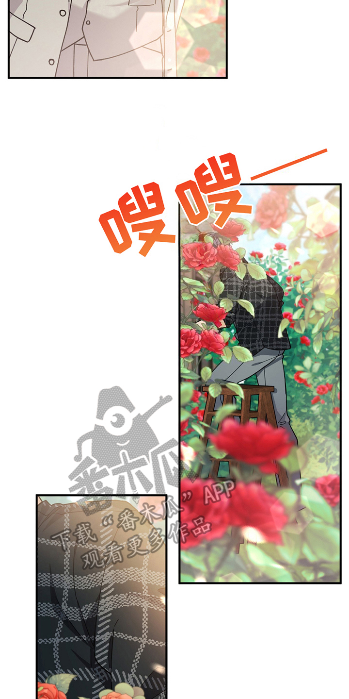 灰熊的玫瑰住宅灰熊的玫瑰住宅漫画,第3章：灰熊1图