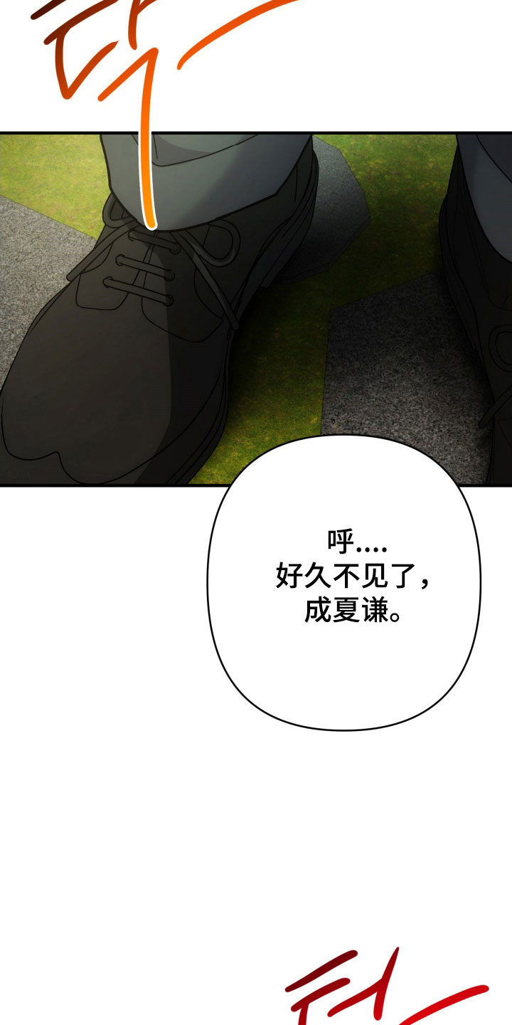 灰熊的玫瑰住宅小说漫画,第98章：见面1图