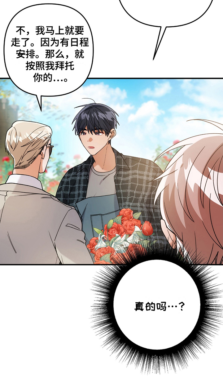 灰熊房子有多大漫画,第4章：真的吗5图