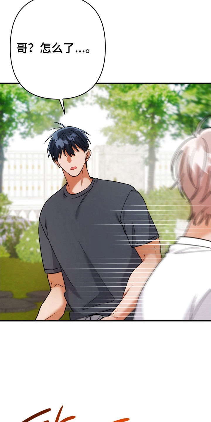 灰熊丘陵住宅漫画,第98章：见面5图