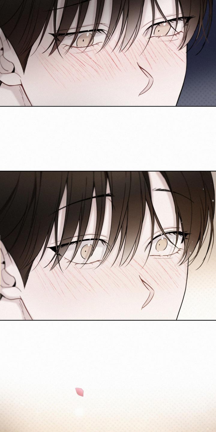 水中的夕阳漫画,第19章：玫瑰花4图