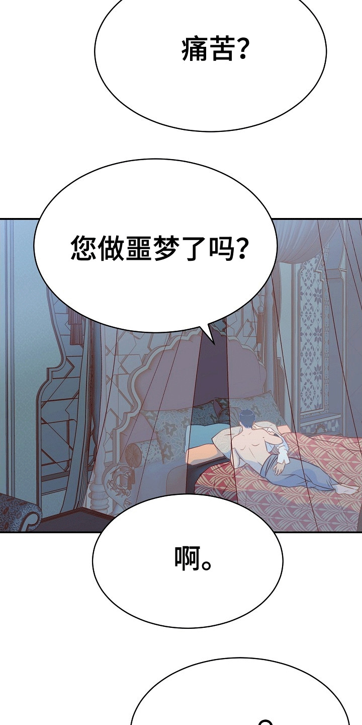 皇帝的垂怜漫画,第20章：受伤3图